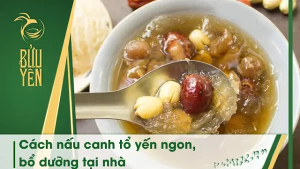 Cách Nấu Tổ Yến Ngon Tại Nhà: Chưng Đường Phèn, Nấu Chè Và Hầm Canh