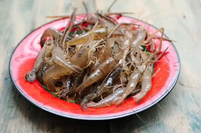 Cách Làm Tôm Khô Không Bị Tanh Tại Nhà: Sơ Chế, Phơi Khô Và Cách Nấu Ngon