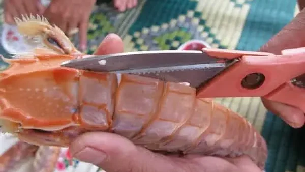 Cách Nấu Tôm Tít Ngon: 5 Món Dễ Làm, Thơm Và Chuẩn Vị