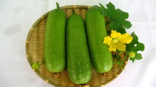Cách Nấu Trà Bí Đao Kiểu Đài Loan Tại Nhà: Cô Đặc, Ngọt Thanh, Không Chua