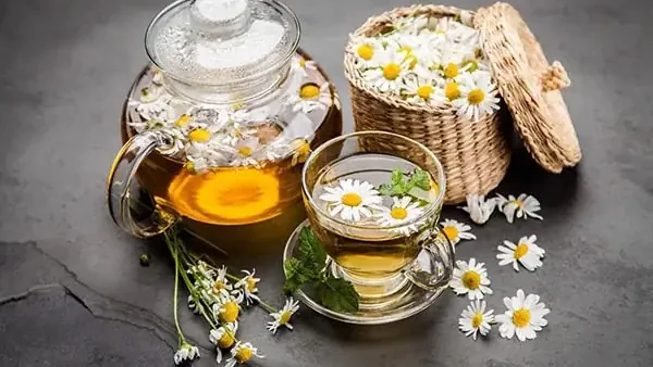Hướng Dẫn 4 Cách Nấu Pha Trà Hoa Cúc Đúng Chuẩn, Giữ Trọn Hương Vị & Công Dụng