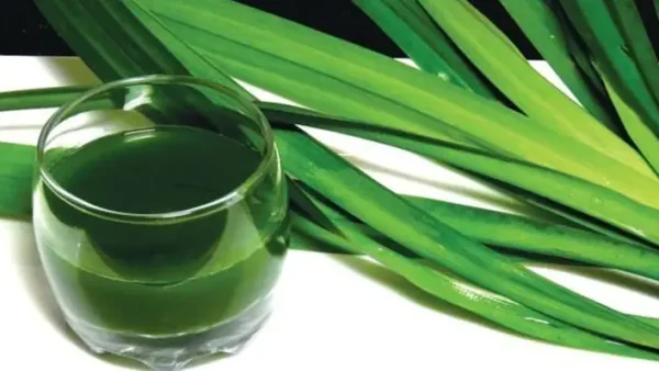 Cách Nấu Trà Lá Dứa Thơm Mát Tại Nhà: Lá Tươi, Lá Khô Và Trà Xanh