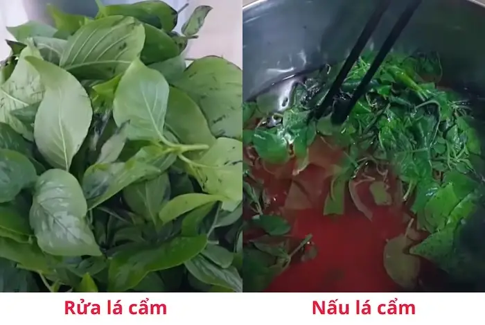 Cách Nấu Xôi Bằng Bột Lá Cẩm Dẻo Thơm, Màu Tím Đẹp Cách Nấu Xôi Bằng Bột Lá Cẩm Dẻo Thơm, Màu Tím Đẹp
