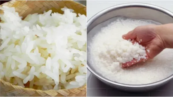 Cách Nấu Xôi Đậu Xanh Không Cần Ngâm Gạo Bằng Nồi Cơm Điện Dẻo Thơm