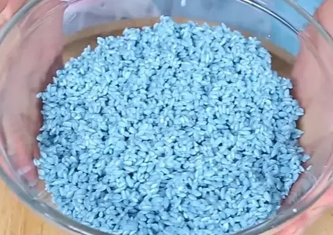 Cách Nấu Xôi Hoa Đậu Biếc Hạt Sen Dẻo, Thơm Và Giữ Màu Đẹp