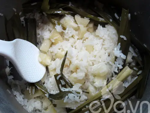 Cách Nấu Xôi Khoai Mì Dẻo Mềm Từ Nếp Và Khoai Mì Tươi Cách Nấu Xôi Khoai Mì Dẻo Mềm Từ Nếp Và Khoai Mì Tươi
