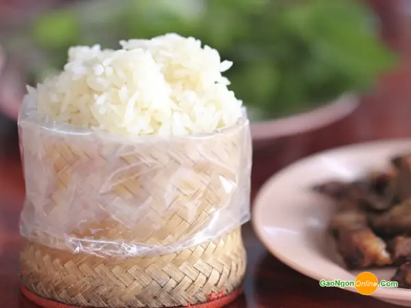 Cách Nấu Xôi Nếp Lào Bằng Chõ: Hạt Nở Đều, Mềm Dẻo, Thơm Và Không Nhão Cách Nấu Xôi Nếp Lào Bằng Chõ: Hạt Nở Đều, Mềm Dẻo, Thơm Và Không Nhão