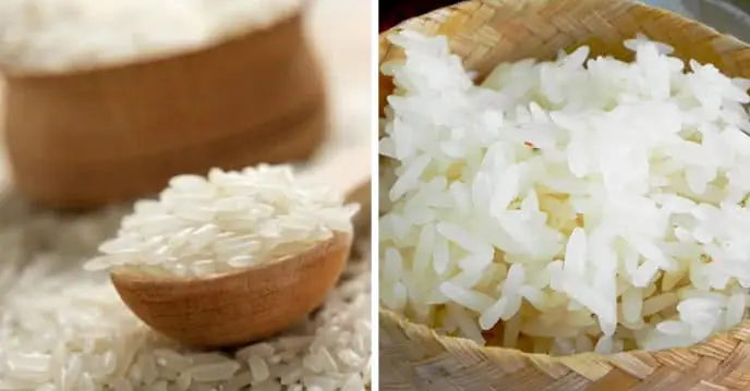 Cách Nấu Xôi Nếp Non Dẻo Mềm, Chín Đều Ngay Tại Nhà Cách Nấu Xôi Nếp Non Dẻo Mềm, Chín Đều Ngay Tại Nhà