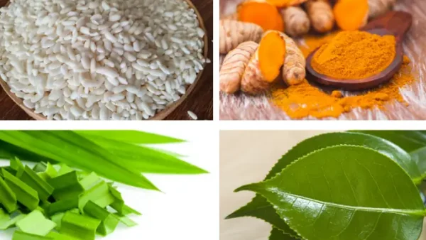 Cách Nấu Xôi Nhiều Màu (ngũ Sắc) Mềm Dẻo, Lên Màu Đẹp Từ Nguyên Liệu Tự Nhiên: 3 Cách Làm Chuẩn Không Cần Chỉnh