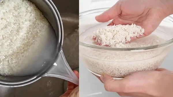 Cách Nấu Xôi Sầu Riêng Bằng Nồi Cơm Điện: Dẻo Béo, Thơm Ngon