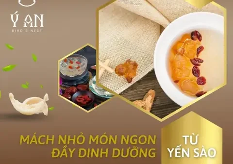 Hướng Dẫn Cách Nấu Yến Cho Người Già Giữ Trọn Dinh Dưỡng, Dễ Hấp Thu Và Liều Lượng Chuẩn