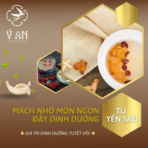 Hướng Dẫn Cách Nấu Yến Cho Người Già Giữ Trọn Dinh Dưỡng, Dễ Hấp Thu Và Liều Lượng Chuẩn