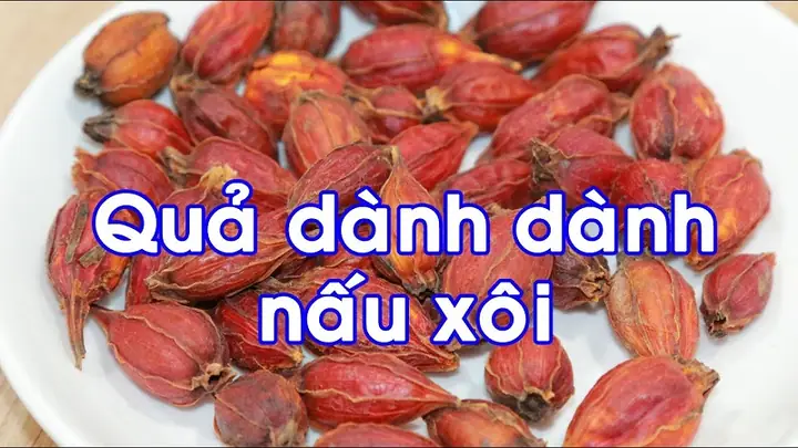 Hạt Dành Dành Là Gì? Đặc Điểm Nhận Biết, Công Dụng Và Cách Dùng Hạt Chi Tử