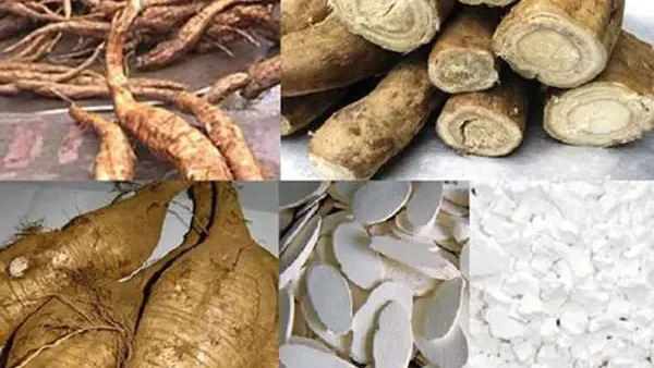 Khoai Cao Và Khoai Môn Có Phải Là Một? Cách Nhận Biết Và Sử Dụng