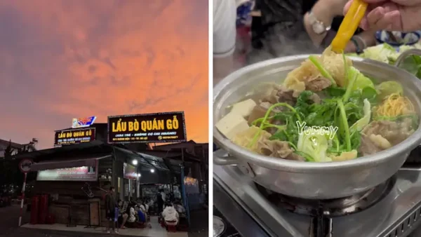 Top 15+ Quán Lẩu Bò Bắp Hoa Đà Lạt Ngon Nhất 2024: Review Quán Gốc, Phân Biệt Loại Lẩu & Bí Mật Chọn Quán Chuẩn Vị