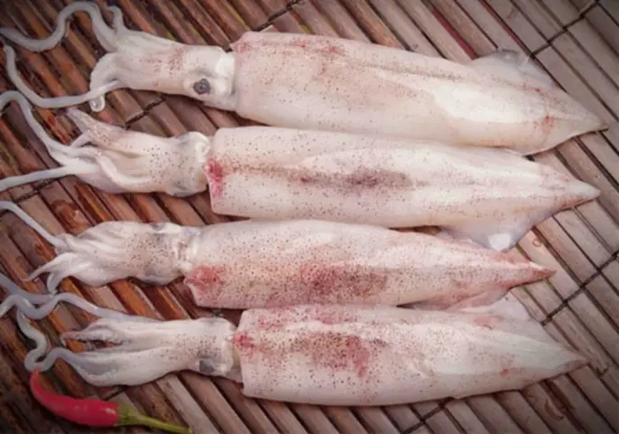 Phân Biệt Mực Ống Và Mực Lá: Hình Dáng, Vị Ngon Và Cách Chọn