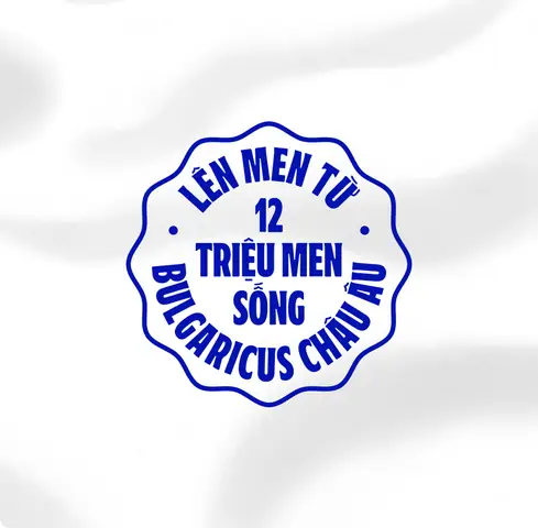 Sữa Chua Vị Trái Cây: Cách Chọn Sản Phẩm Và Cách Làm Tại Nhà